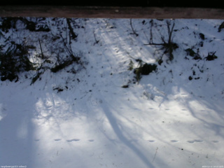 長野県菅平高原 ゆたか山荘 南側 2025/12/11 10:15