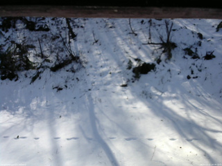 長野県菅平高原 ゆたか山荘 南側 2025/12/11 10:30