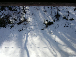 長野県菅平高原 ゆたか山荘 南側 2025/12/11 10:45