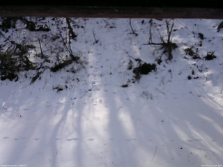 長野県菅平高原 ゆたか山荘 南側 2025/12/11 11:00