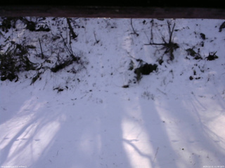 長野県菅平高原 ゆたか山荘 南側 2025/12/11 11:30