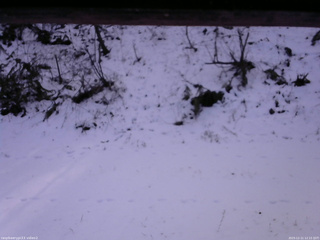 長野県菅平高原 ゆたか山荘 南側 2025/12/11 12:15