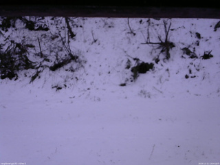 長野県菅平高原 ゆたか山荘 南側 2025/12/11 13:00