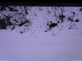 長野県菅平高原 ゆたか山荘 南側 2025/12/11 14:00