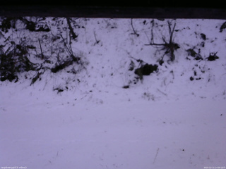 長野県菅平高原 ゆたか山荘 南側 2025/12/11 14:30