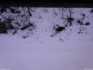 長野県菅平高原 ゆたか山荘 南側 2025/12/11 14:45