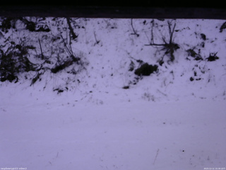 長野県菅平高原 ゆたか山荘 南側 2025/12/11 15:30