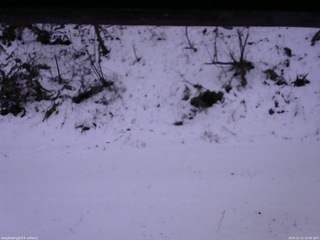 長野県菅平高原 ゆたか山荘 南側 2025/12/11 15:45