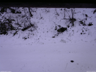 長野県菅平高原 ゆたか山荘 南側 2025/12/11 16:00