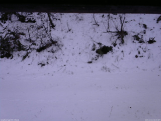 長野県菅平高原 ゆたか山荘 南側 2025/12/11 16:15