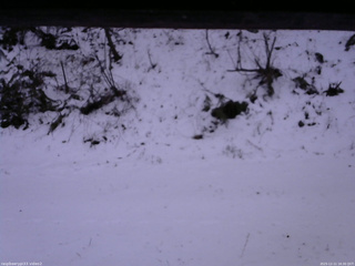 長野県菅平高原 ゆたか山荘 南側 2025/12/11 16:30