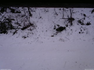 長野県菅平高原 ゆたか山荘 南側 2025/12/11 16:45