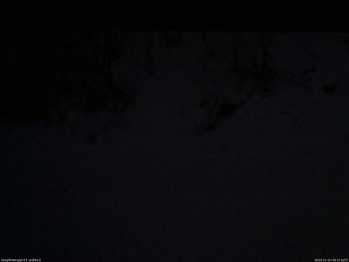 長野県菅平高原 ゆたか山荘 南側 2025/12/12 06:15