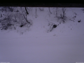 長野県菅平高原 ゆたか山荘 南側 2025/12/12 06:30