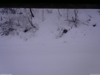 長野県菅平高原 ゆたか山荘 南側 2025/12/12 06:45