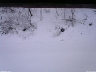 長野県菅平高原 ゆたか山荘 南側 2025/12/12 07:00