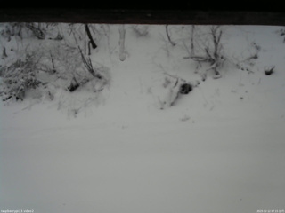 長野県菅平高原 ゆたか山荘 南側 2025/12/12 07:15