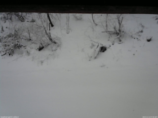 長野県菅平高原 ゆたか山荘 南側 2025/12/12 07:30