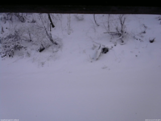 長野県菅平高原 ゆたか山荘 南側 2025/12/12 07:45