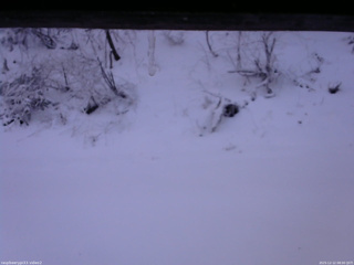 長野県菅平高原 ゆたか山荘 南側 2025/12/12 08:00