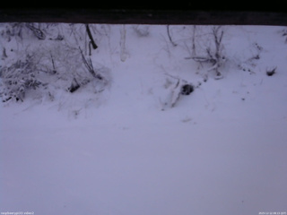 長野県菅平高原 ゆたか山荘 南側 2025/12/12 08:15