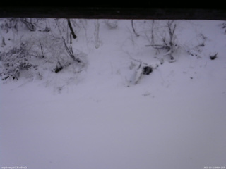 長野県菅平高原 ゆたか山荘 南側 2025/12/12 08:30