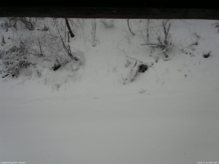 長野県菅平高原 ゆたか山荘 南側 2025/12/12 08:45