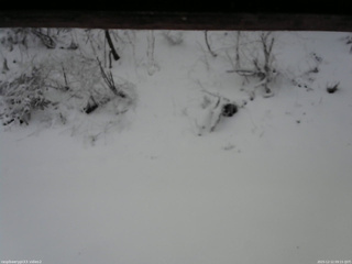 長野県菅平高原 ゆたか山荘 南側 2025/12/12 09:15