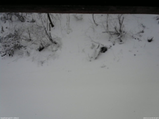 長野県菅平高原 ゆたか山荘 南側 2025/12/12 09:30