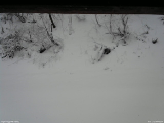 長野県菅平高原 ゆたか山荘 南側 2025/12/12 09:45