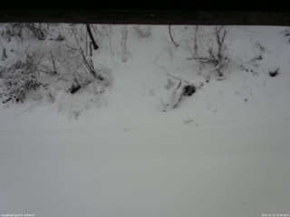 長野県菅平高原 ゆたか山荘 南側 2025/12/12 10:00