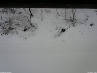 長野県菅平高原 ゆたか山荘 南側 2025/12/12 10:15