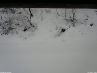 長野県菅平高原 ゆたか山荘 南側 2025/12/12 10:30