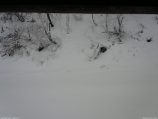 長野県菅平高原 ゆたか山荘 南側 2025/12/12 10:45