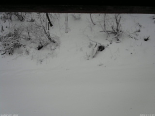 長野県菅平高原 ゆたか山荘 南側 2025/12/12 11:00