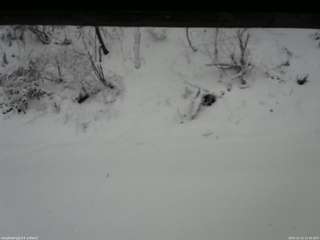 長野県菅平高原 ゆたか山荘 南側 2025/12/12 11:30