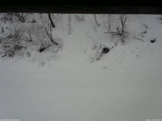 長野県菅平高原 ゆたか山荘 南側 2025/12/12 12:00