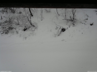 長野県菅平高原 ゆたか山荘 南側 2025/12/12 12:15