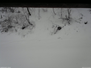 長野県菅平高原 ゆたか山荘 南側 2025/12/12 12:30