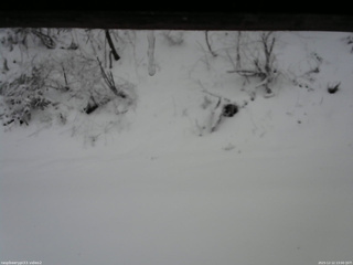 長野県菅平高原 ゆたか山荘 南側 2025/12/12 13:00