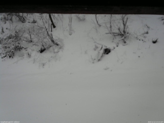 長野県菅平高原 ゆたか山荘 南側 2025/12/12 13:15