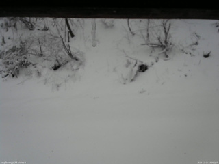 長野県菅平高原 ゆたか山荘 南側 2025/12/12 13:30