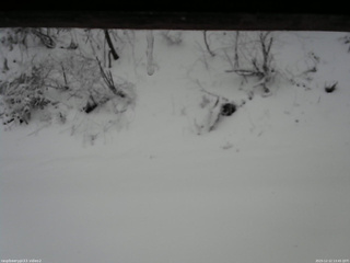 長野県菅平高原 ゆたか山荘 南側 2025/12/12 13:45