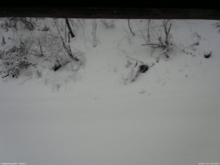 長野県菅平高原 ゆたか山荘 南側 2025/12/12 14:00