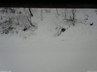 長野県菅平高原 ゆたか山荘 南側 2025/12/12 14:15