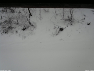 長野県菅平高原 ゆたか山荘 南側 2025/12/12 14:30