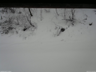 長野県菅平高原 ゆたか山荘 南側 2025/12/12 14:45