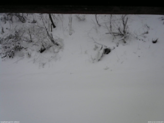 長野県菅平高原 ゆたか山荘 南側 2025/12/12 15:00