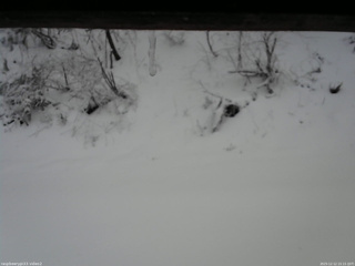 長野県菅平高原 ゆたか山荘 南側 2025/12/12 15:15