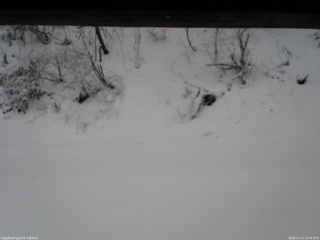 長野県菅平高原 ゆたか山荘 南側 2025/12/12 15:45